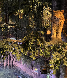 Promosi