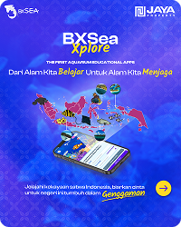 BXSea Explore App