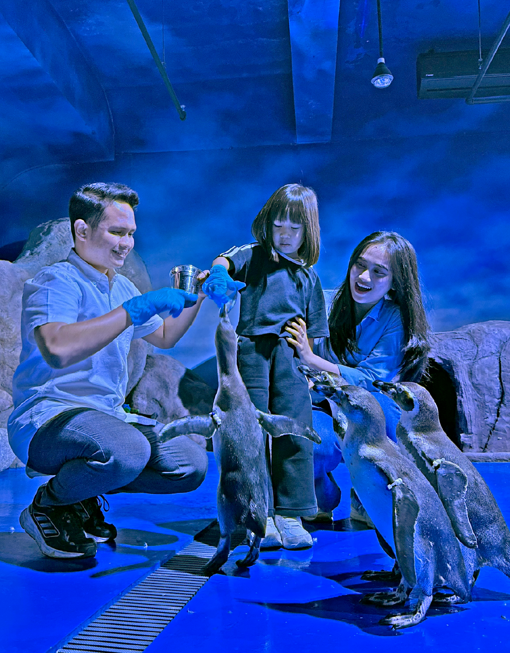 Penguin Feeding Fun