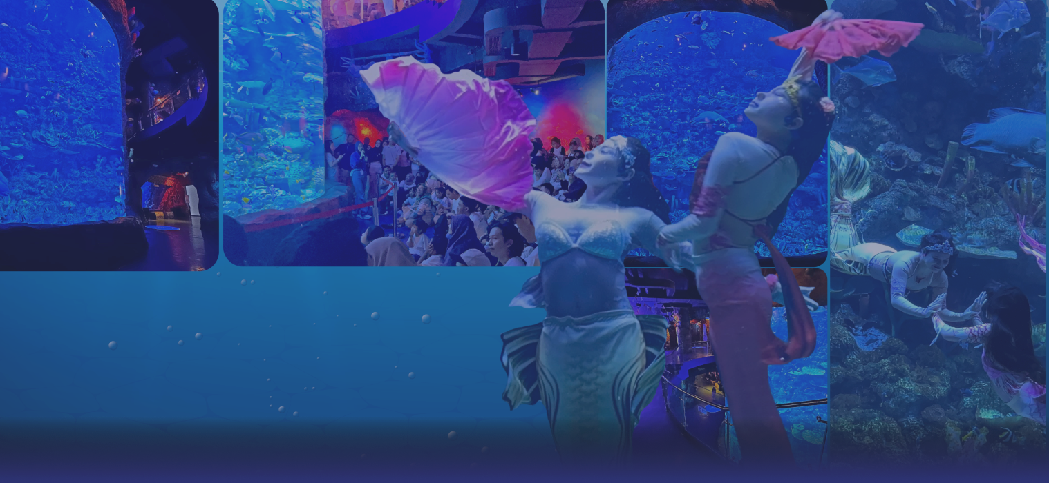 Rasakan Kekaguman dari Pesona Biota Laut Raja Ampat