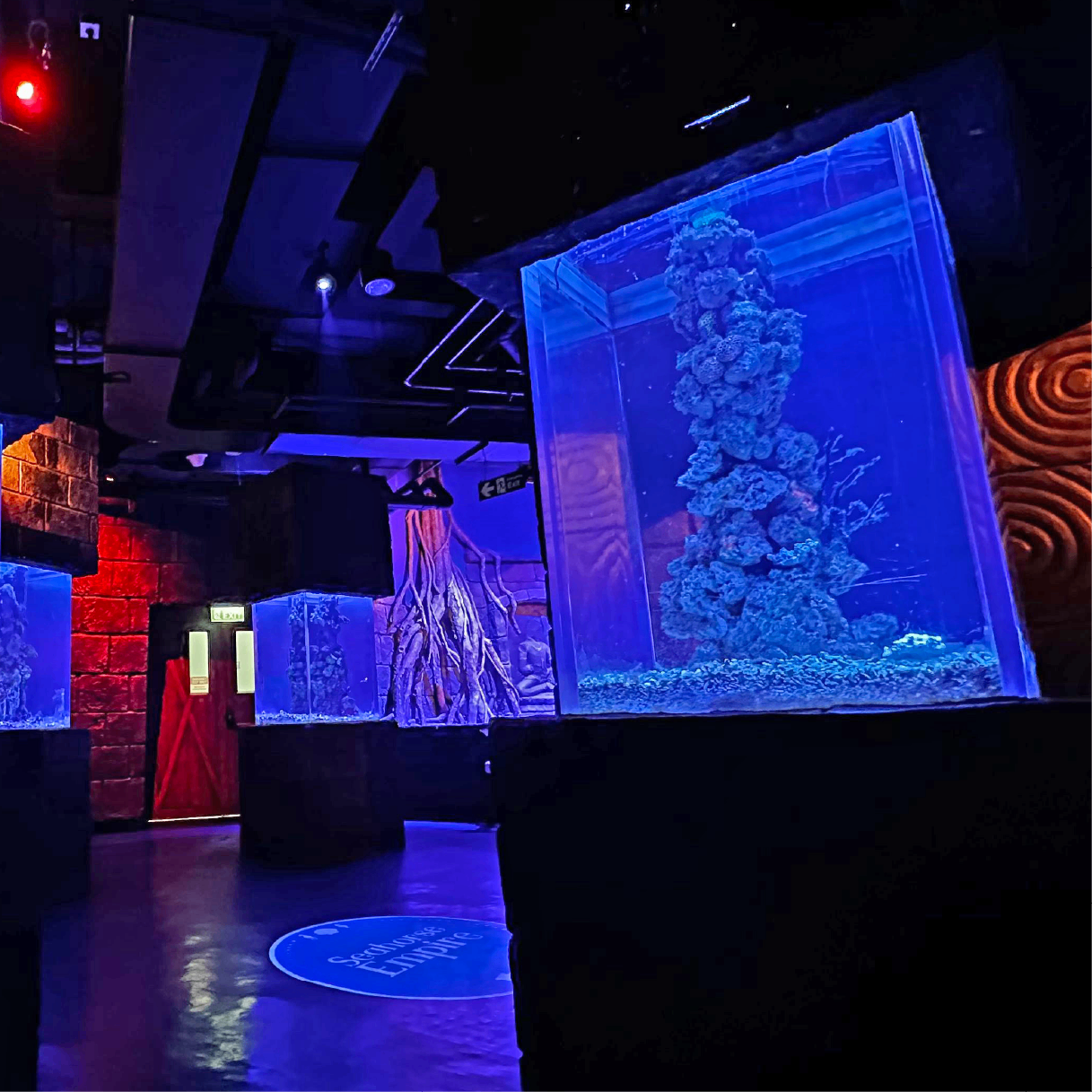 Seahorse Empire