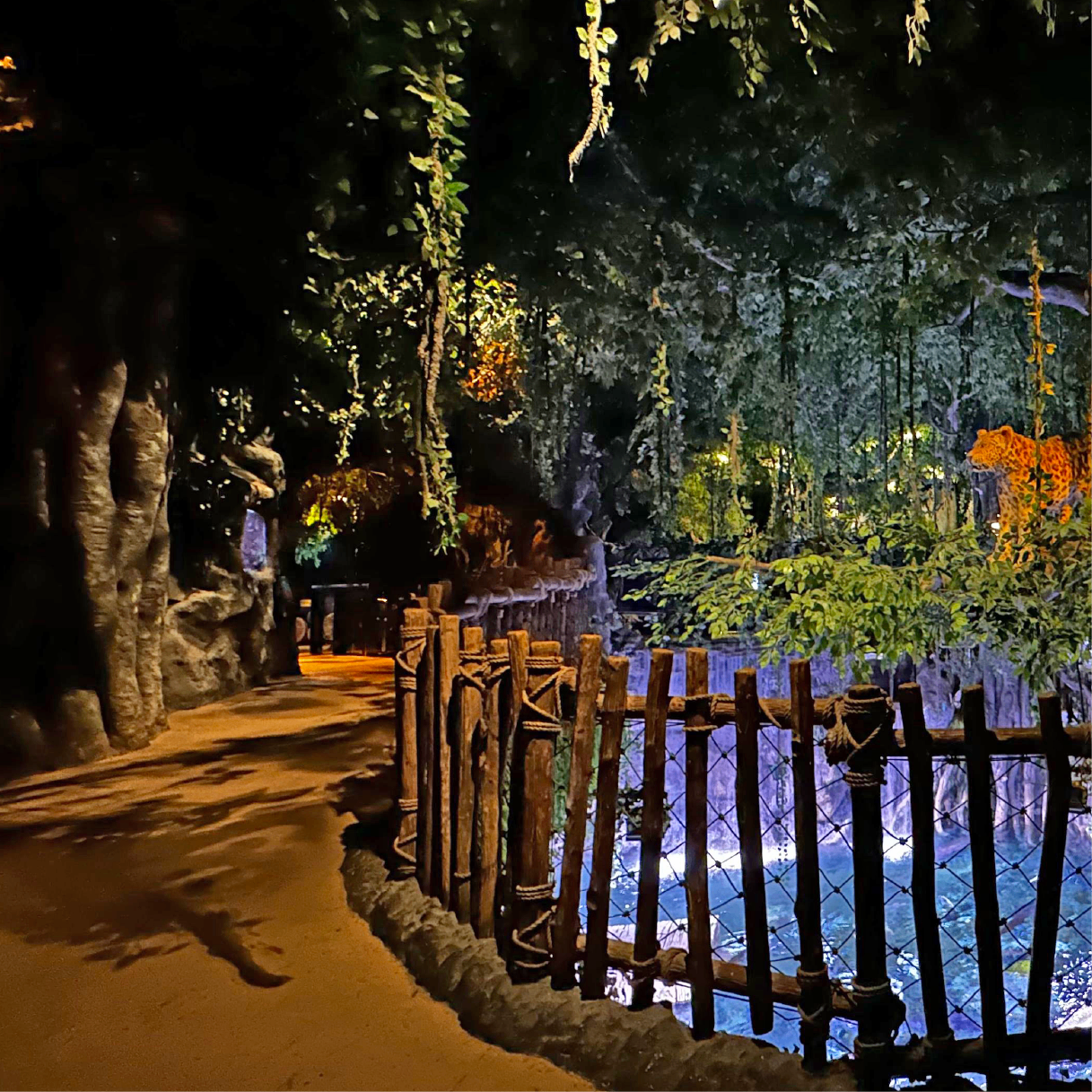 Rainforest