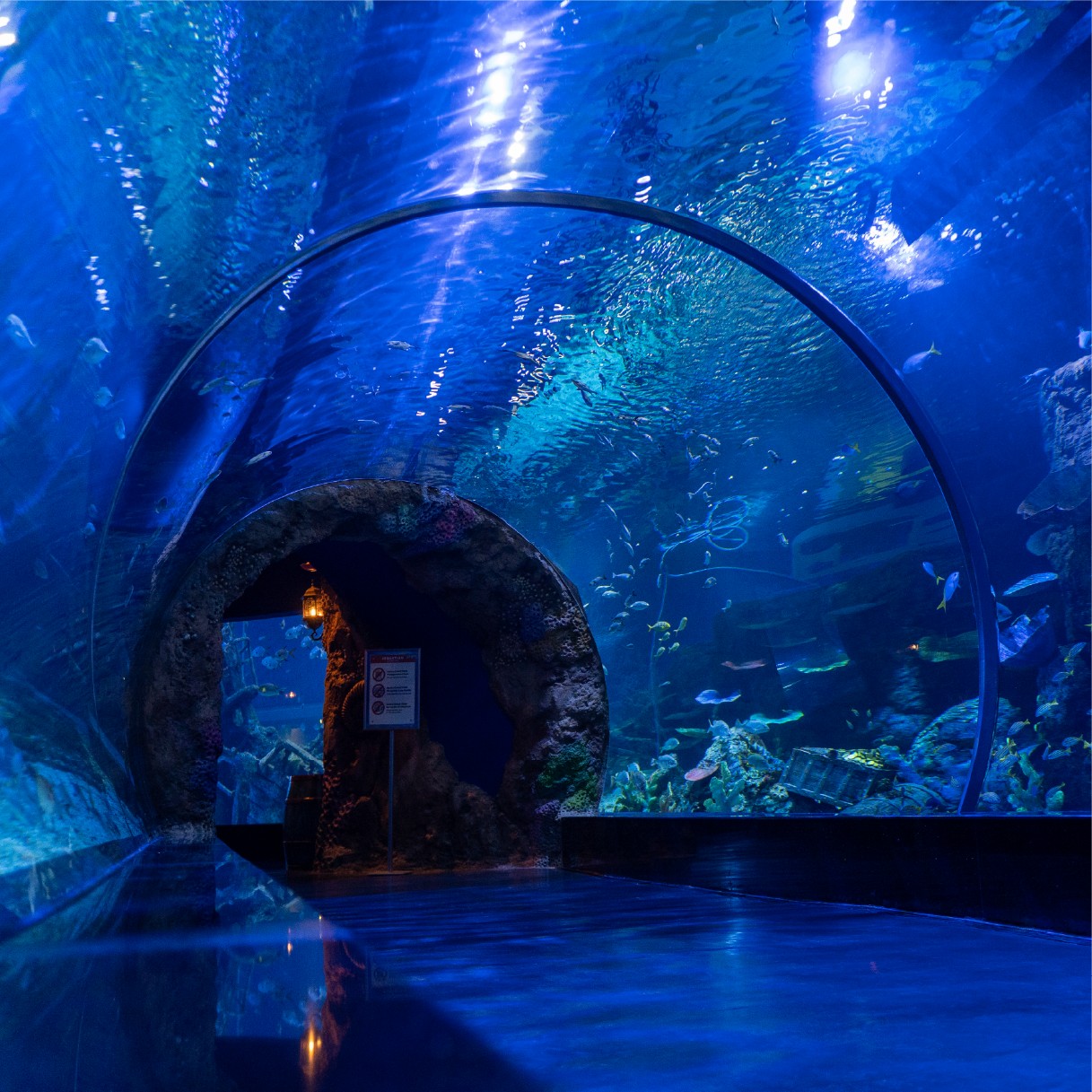 Sea Tunnel