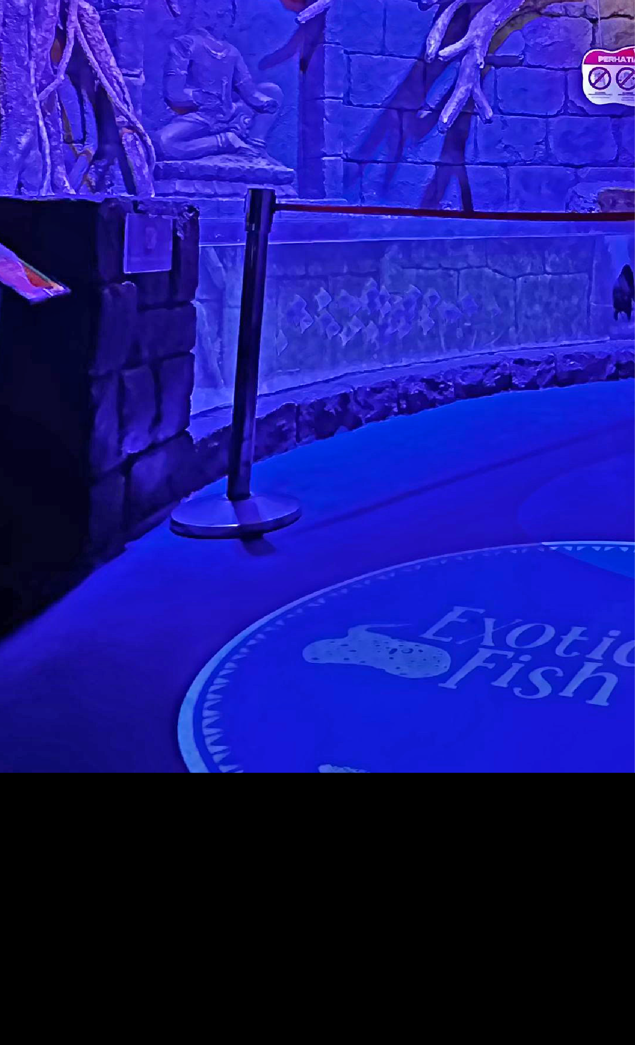 Exotic Fish