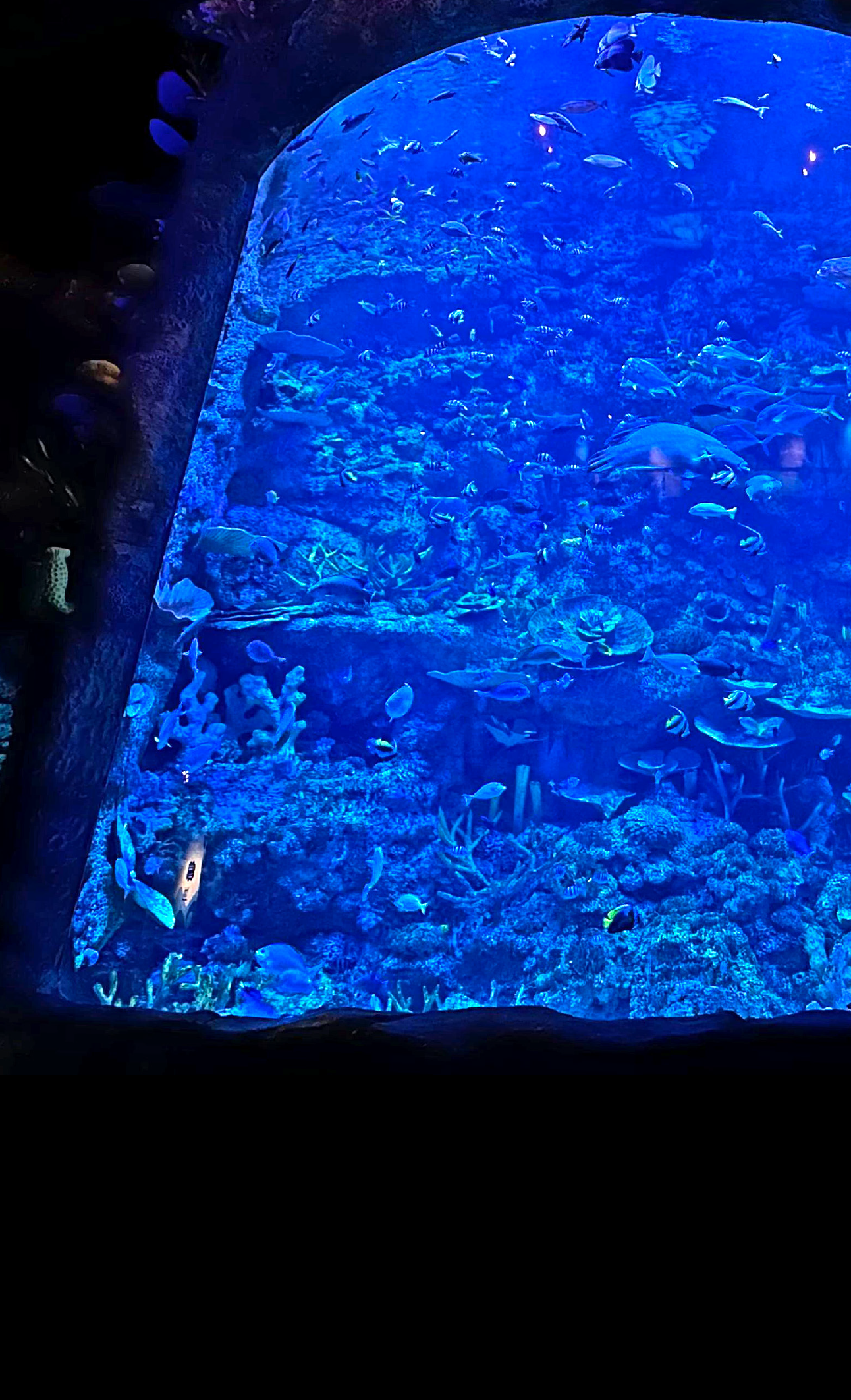Raja Ampat
