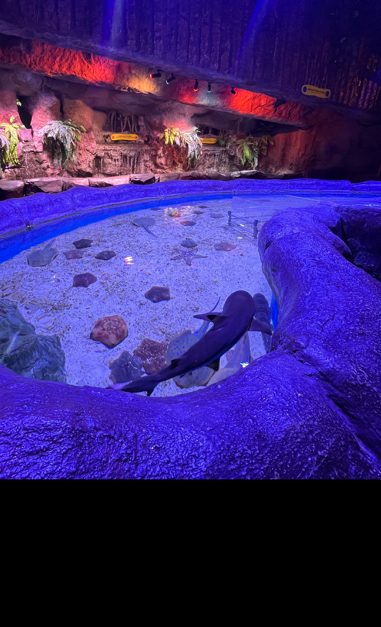 Touch Pool