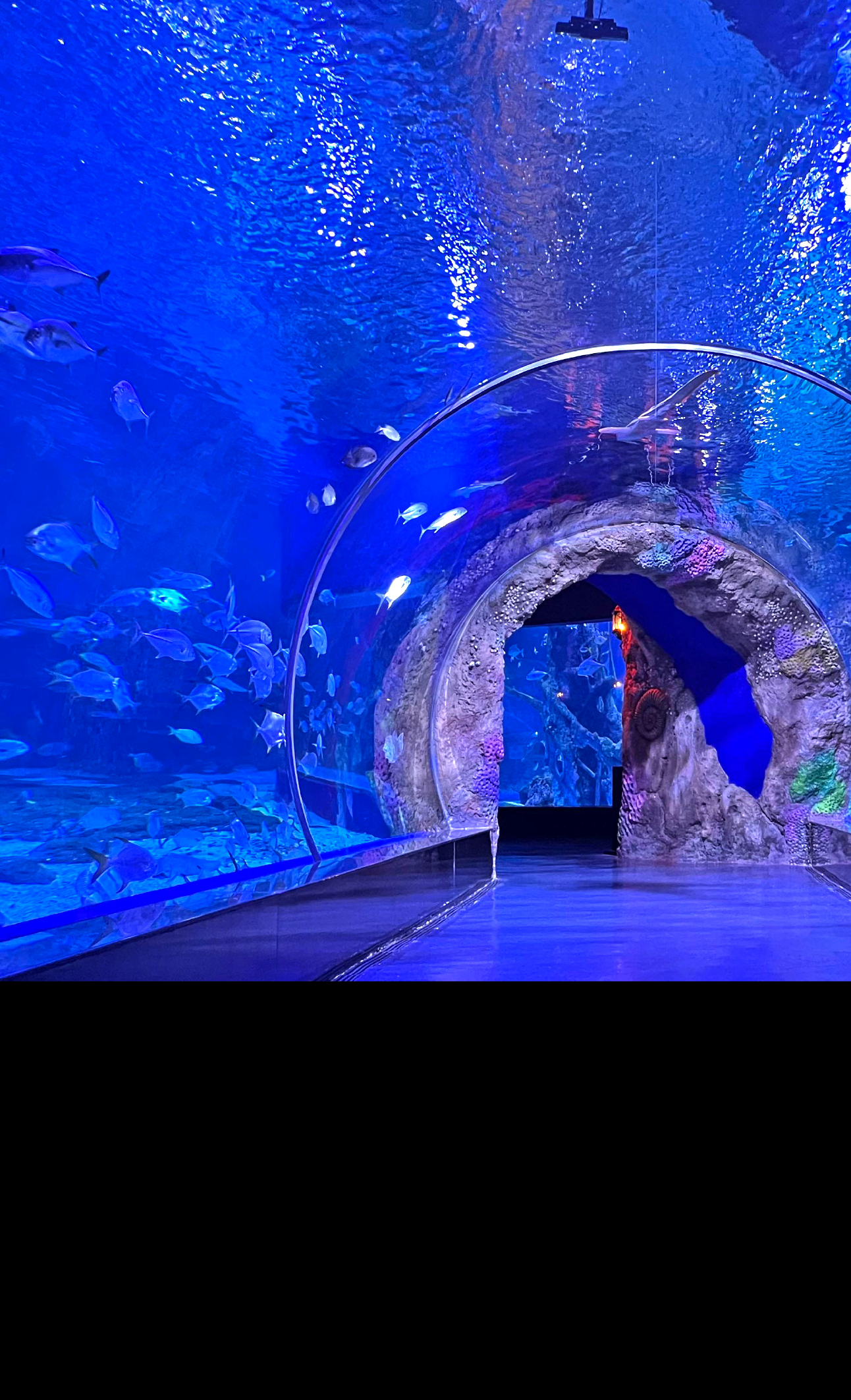 Sea Tunnel