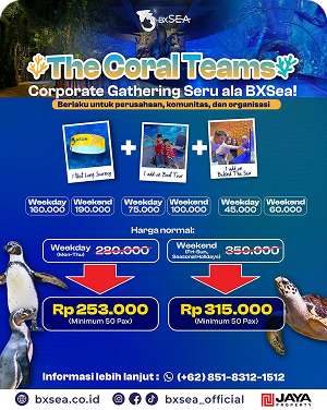 The Coral Teams - A Fun Corporate Gathering ala BXSea!