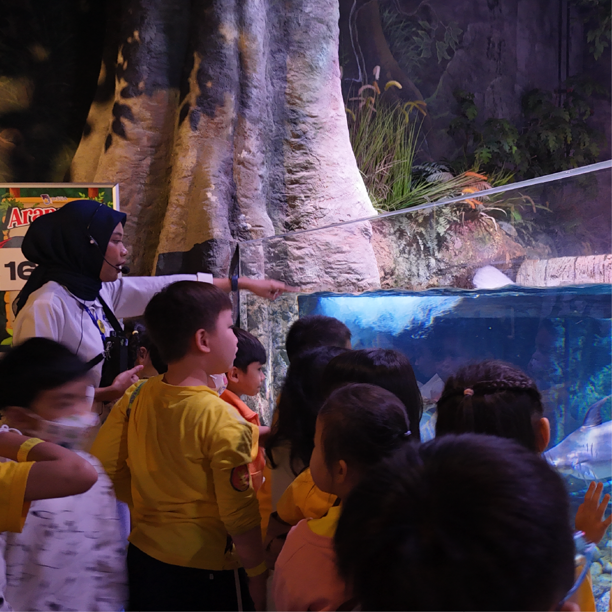 Guided Tour of Behind The Sea