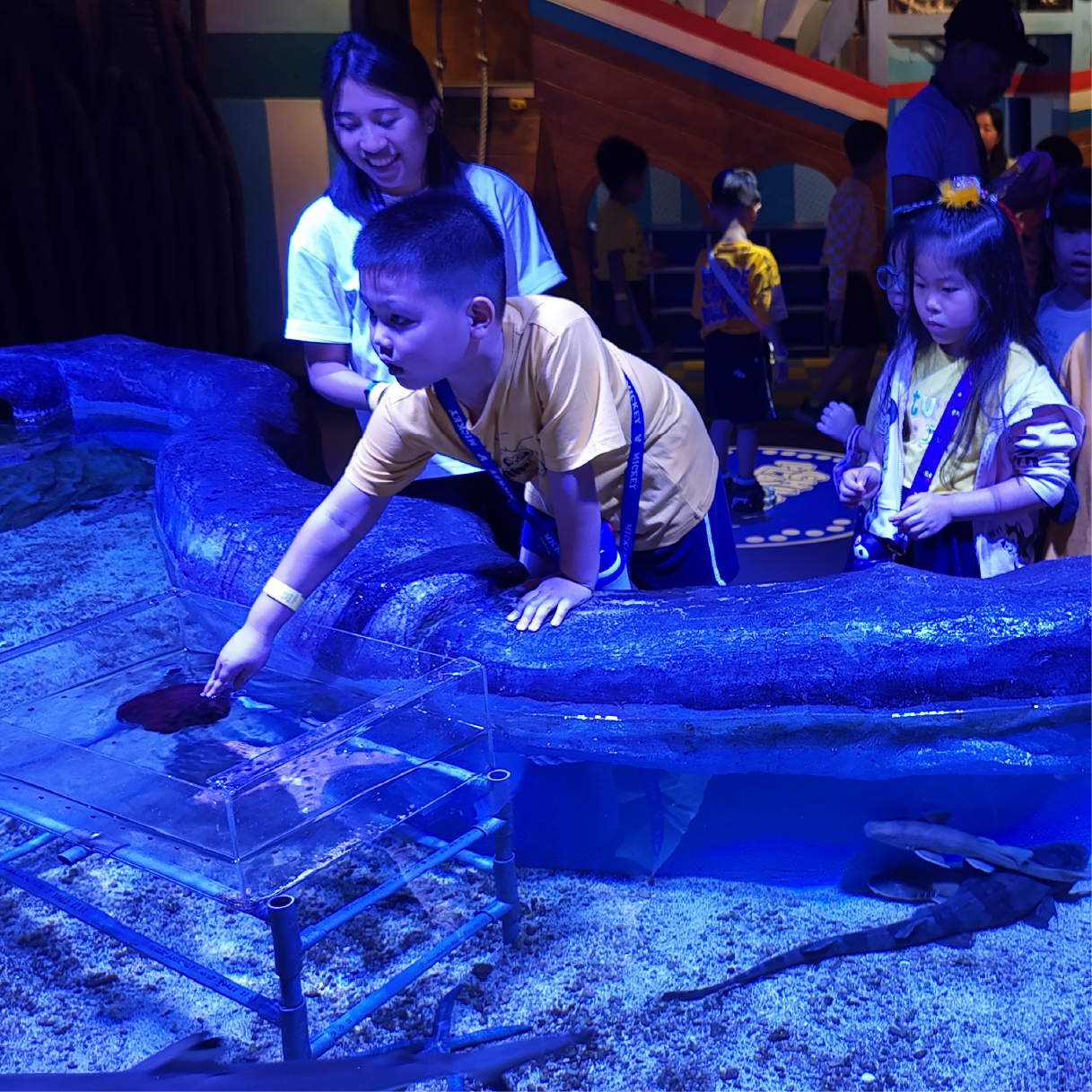Guided Touch Pool Experience