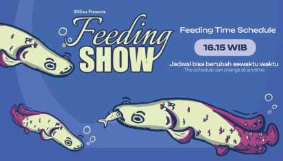 ARAPAIMA FEEDING TIME