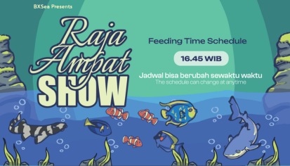 RAJA AMPAT FEEDING TIME