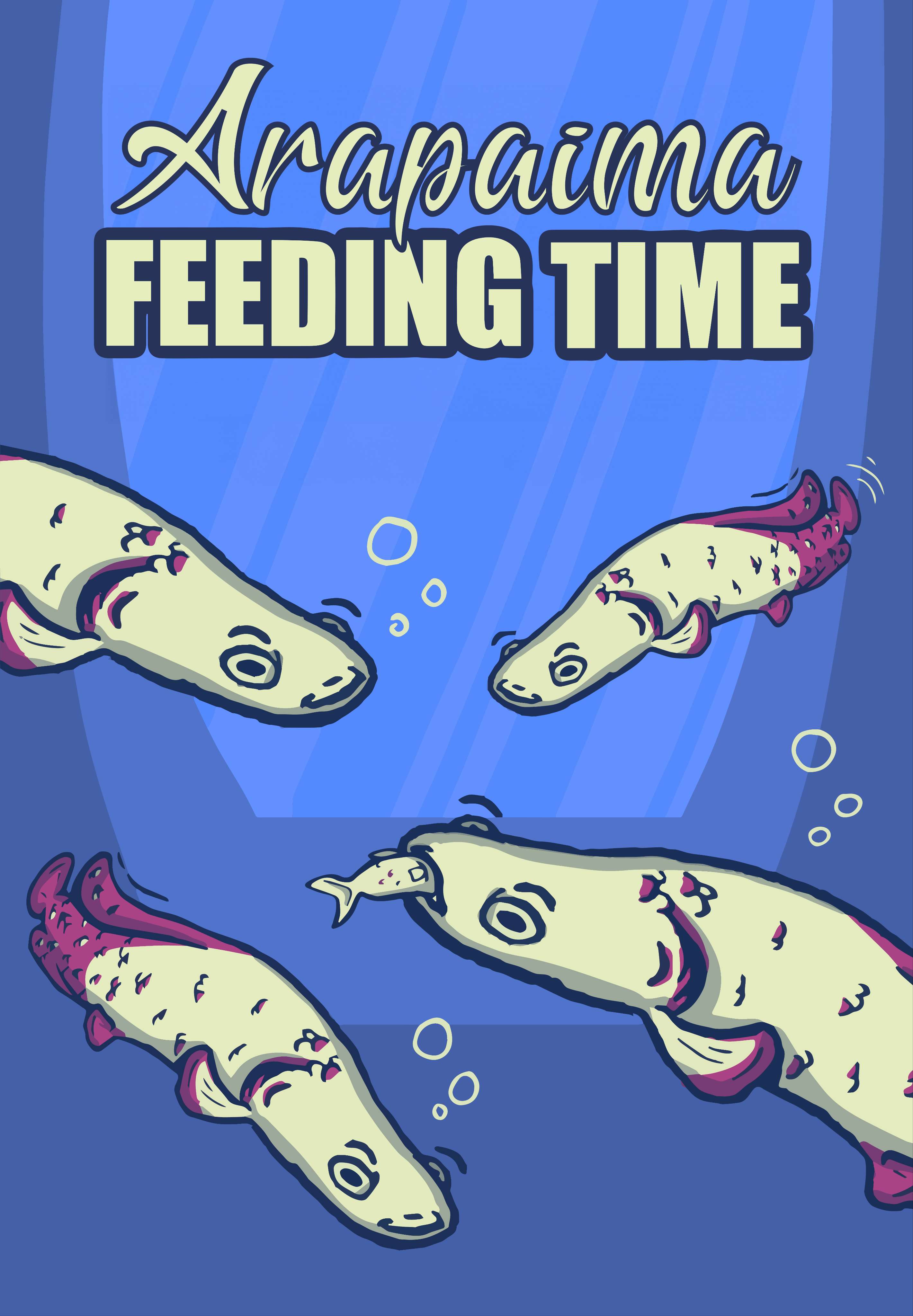 ARAPAIMA FEEDING TIME