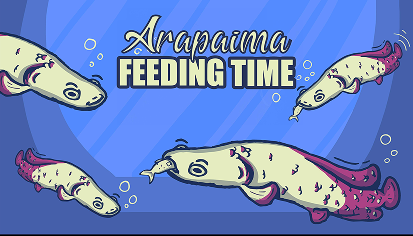 ARAPAIMA FEEDING TIME