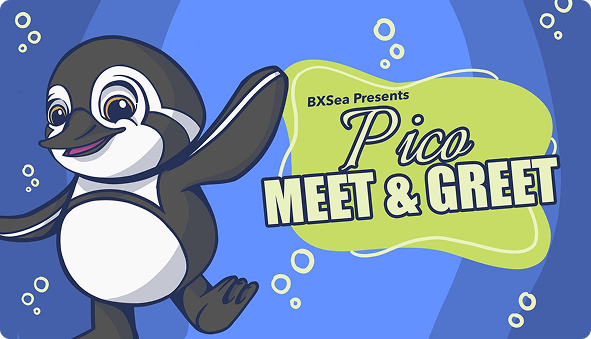 PICO MEET AND GREET