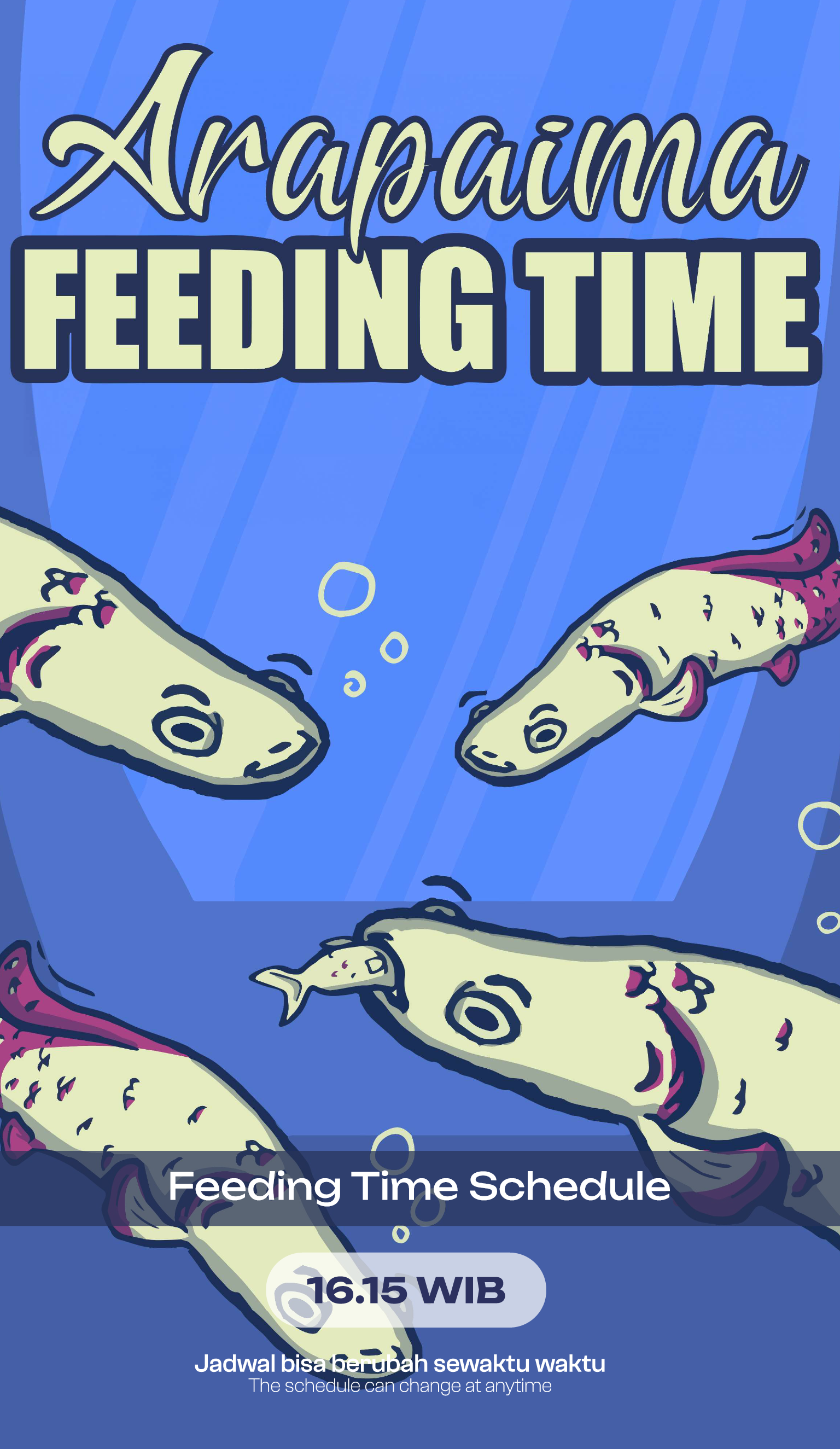ARAPAIMA FEEDING TIME