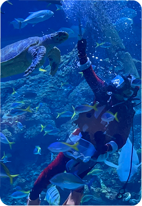 Long Journey - Weekdays