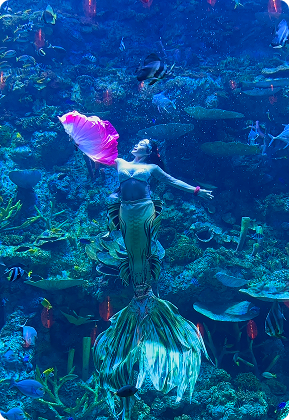 Long Journey - Weekend