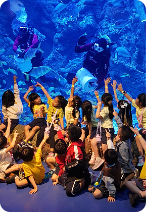 Long Journey - Weekdays